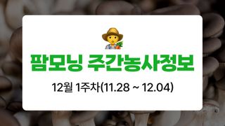 버섯 농사도우미님의 버섯 · 생장기 농작업 작성글 사진