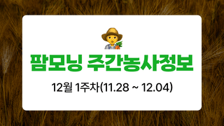 팜모닝 농사도우미님의 기타작물 · 농사길잡이 작성글 사진