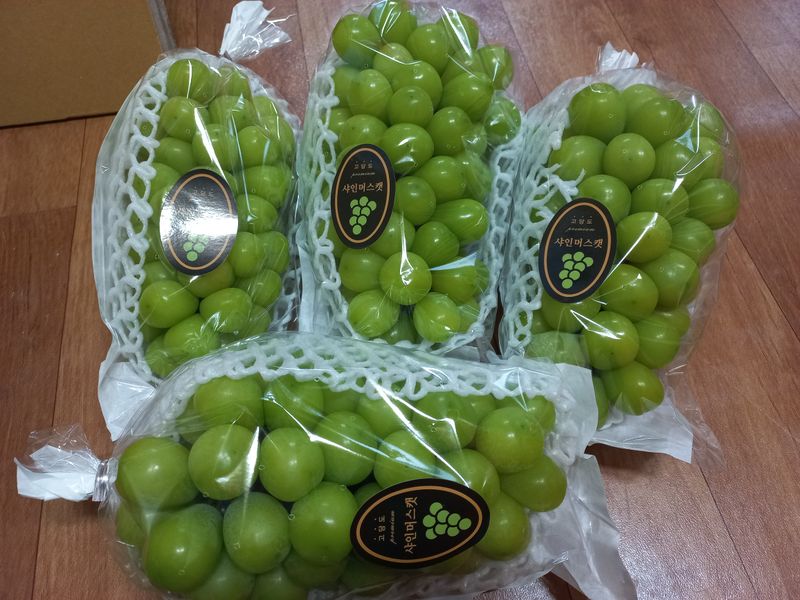 임숙희님의 장터 판매 상품 [샤인머스캣4kg] 첨부 사진