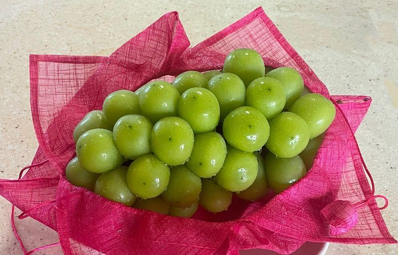 임숙희님의 장터 판매 상품 [샤인머스캣4kg] 첨부 사진