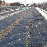 팜모닝 · 게시글 이미지