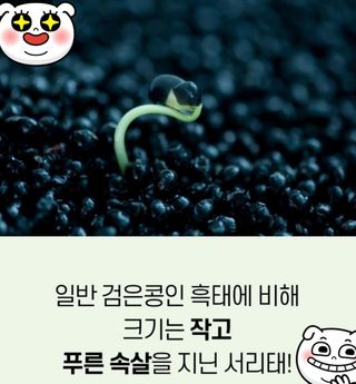 오색땅콩님의 작성글 사진