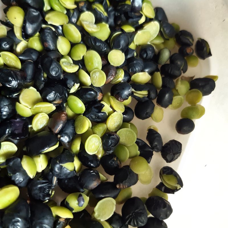 오색땅콩님의 장터 판매 상품 [친환경 늦서리태 (완료)] 첨부 사진