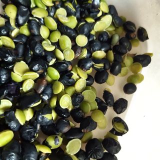 오색땅콩님의 작성글 사진