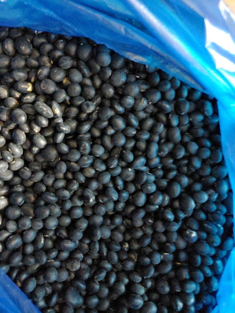 장터 상품 [재래종 서리태 1kg] 썸네일