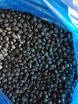 팜모닝 · 게시글 이미지