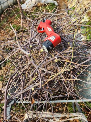 Preotu님의 기타작물 · 자유게시판 작성글 사진