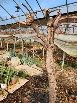 Preotu님의 기타작물 · 자유게시판 작성글 사진