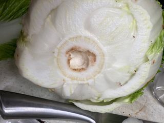 고은서님의 배추 · 병해충상담 작성글 사진