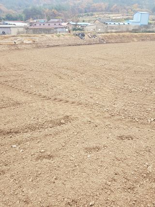 국가대표님의 기타작물 · 자유게시판 작성글 사진