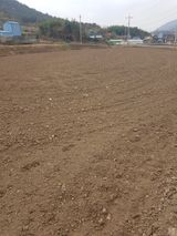 팜모닝 기타작물·자유게시판 게시글 이미지