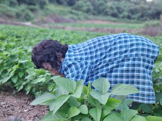 자두1925님의 콩 · 자유게시판 작성글 사진