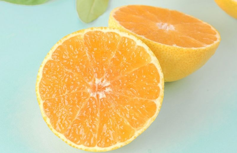 선물차롱님의 장터 판매 상품 [맛있는 새콤달콥한 조생귤이예요] 첨부 사진