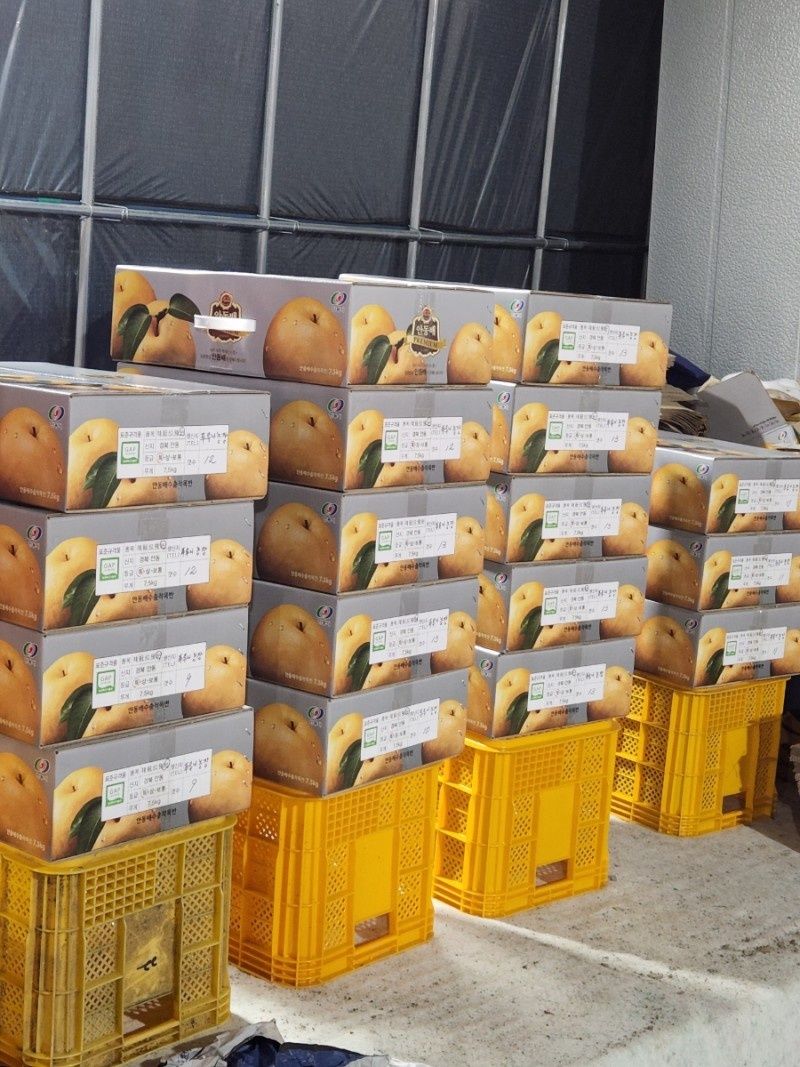 장터 상품 [신고배 7.5kg] 썸네일