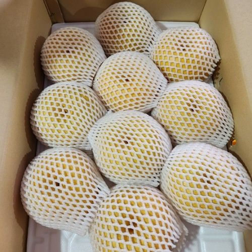 지난지교님의 장터 판매 상품 [신고배 7.5kg] 첨부 사진