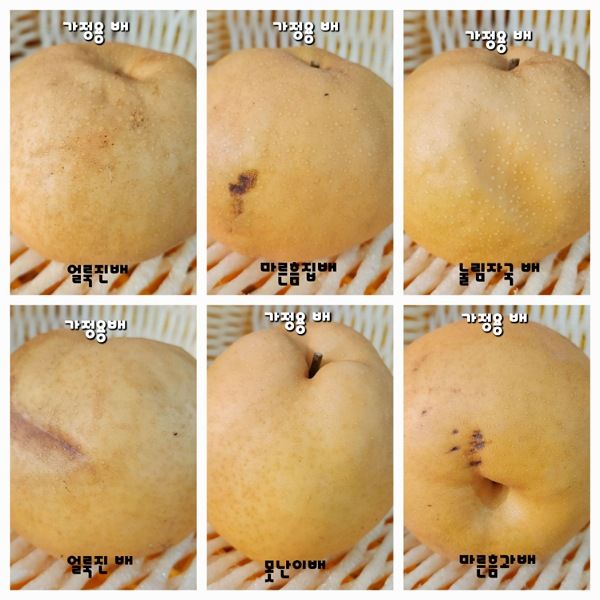 지난지교님의 장터 판매 상품 [신고배 7.5kg] 첨부 사진