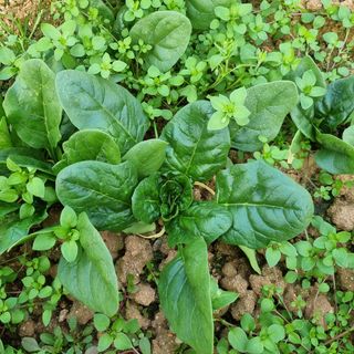 엄미애님의 작성글 사진