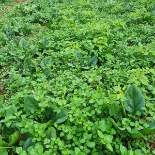 엄미애님의 작성글 사진