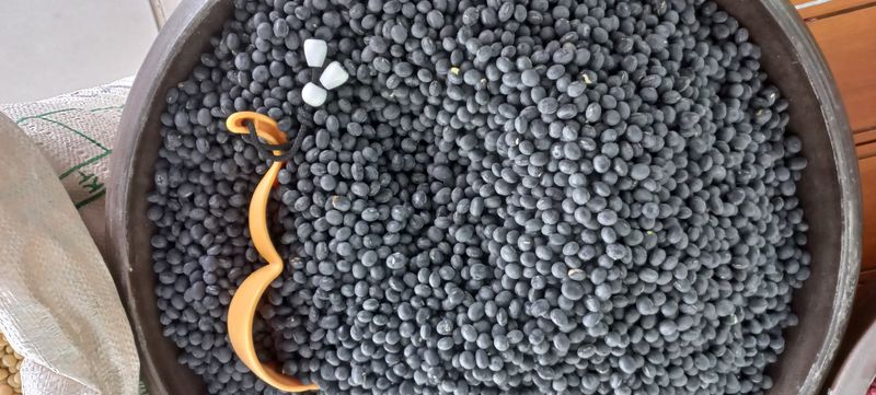 장터 상품 [서리태. ] 썸네일