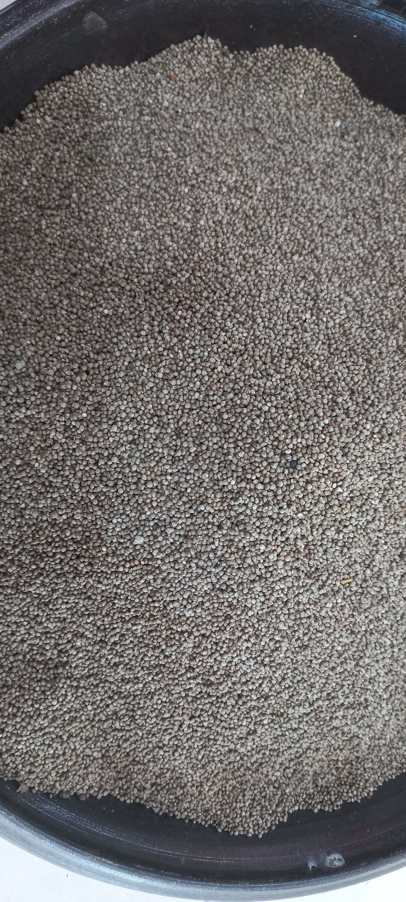 장터 상품 [들깨1키로] 썸네일