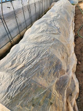 Preotu님의 기타작물 · 자유게시판 작성글 사진