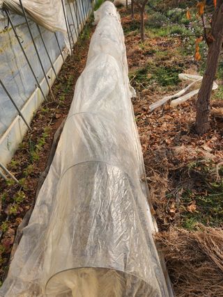 Preotu님의 기타작물 · 자유게시판 작성글 사진