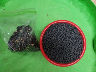 조성인님의 작성글 사진