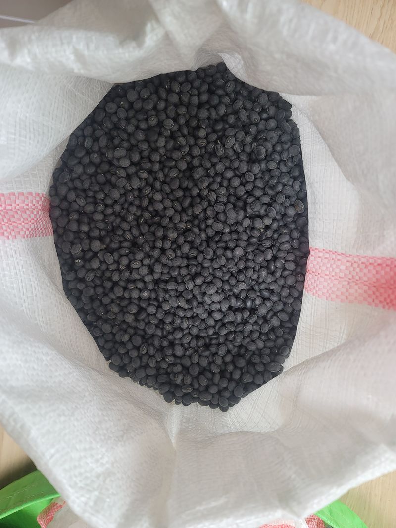 조성인님의 장터 판매 상품 [햇 서리태 품종 : 청자 5호] 첨부 사진