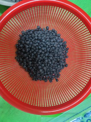 조성인님의 작성글 사진