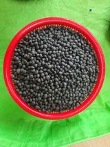 팜모닝 · 게시글 이미지