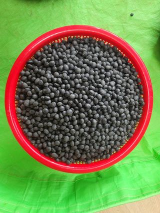 조성인님의 작성글 사진