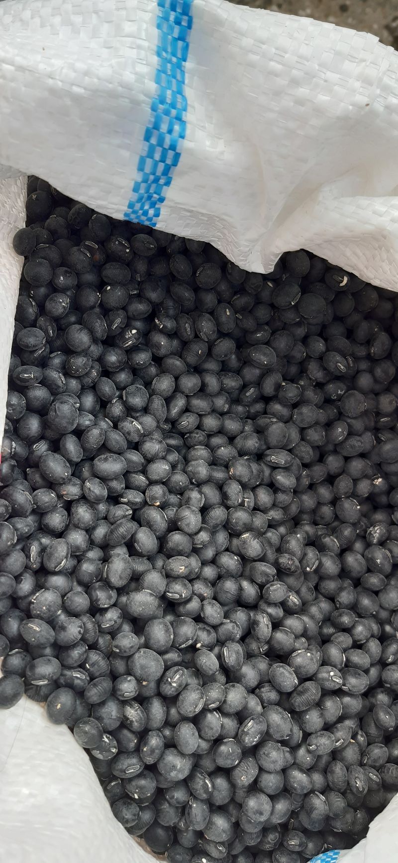 장터 상품 [서리태 1kg] 썸네일