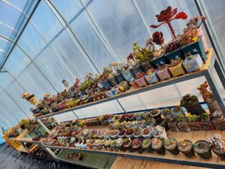 이연옥님의 기타작물 · 자유게시판 작성글 사진