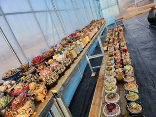 이연옥님의 기타작물 · 자유게시판 작성글 사진