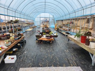 이연옥님의 기타작물 · 자유게시판 작성글 사진