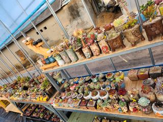 이연옥님의 기타작물 · 자유게시판 작성글 사진