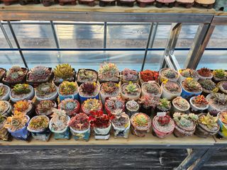 이연옥님의 기타작물 · 자유게시판 작성글 사진