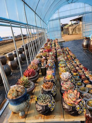 이연옥님의 기타작물 · 자유게시판 작성글 사진