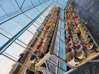 이연옥님의 기타작물 · 자유게시판 작성글 사진