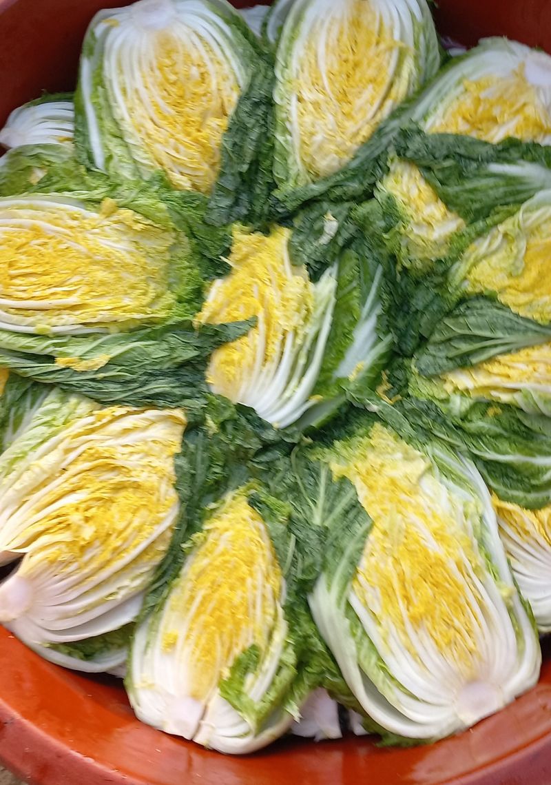 장터 상품 [절임배추  ] 썸네일