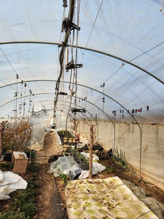 Preotu님의 기타작물 · 자유게시판 작성글 사진