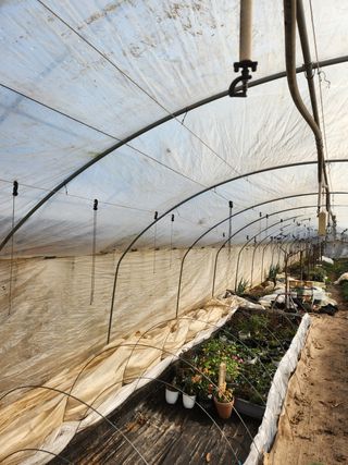 Preotu님의 기타작물 · 자유게시판 작성글 사진