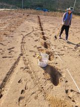 팜모닝 기타작물·자유게시판 게시글 이미지