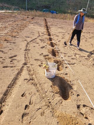 달마루님의 기타작물 · 자유게시판 작성글 사진