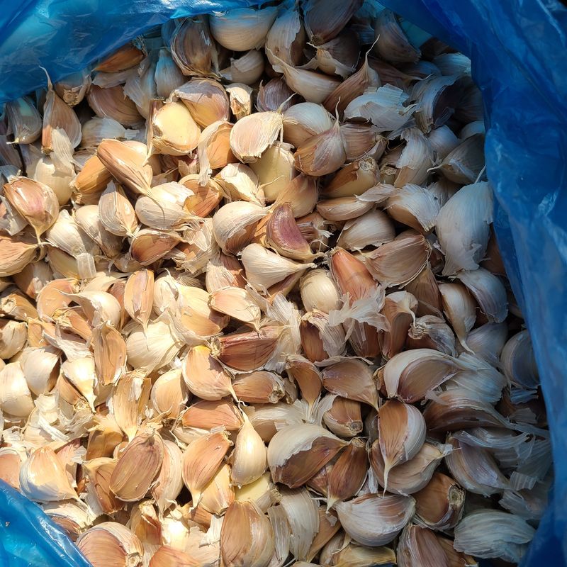 장터 상품 [쪽마늘 판매요] 썸네일