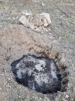 고봉농원 김경수님의 복숭아 · 자유게시판 작성글 사진