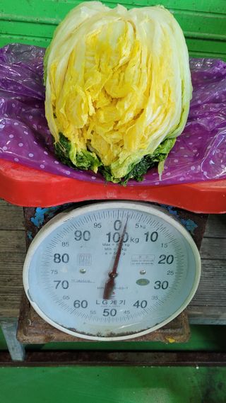 요리하는 농부님의 배추·수확 작성글 사진