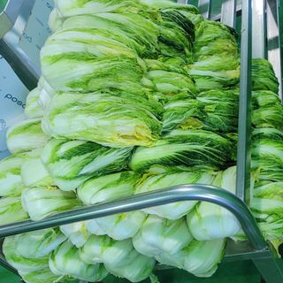 요리하는 농부님의 배추 · 수확 작성글 사진