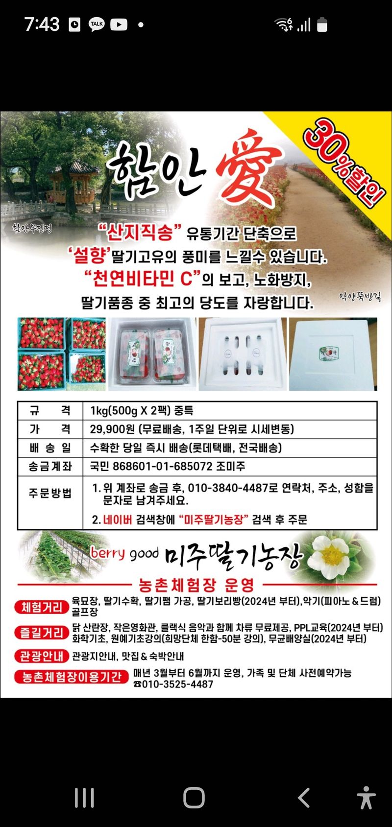 장터 상품 [설향딸기1k] 썸네일