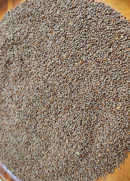 장터 상품 [청정무주 반딧불이들깨  총 120kg  1말 6키로] 썸네일